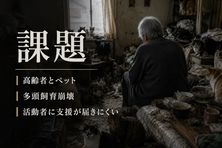 実際に保護猫活動を続けるにゃんこ邸さんが感じている課題