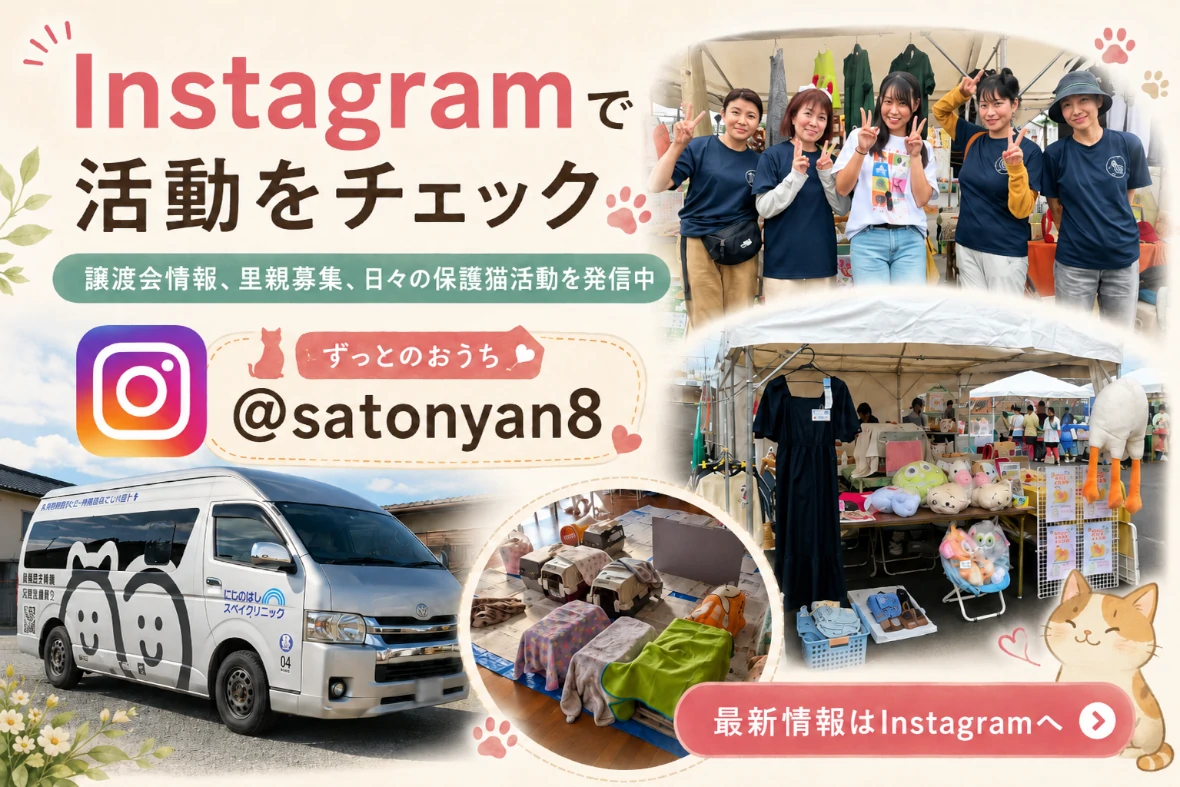 ずっとのおうちさんが運営するInstagramの画像